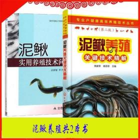 泥鳅养殖人工繁殖苗种活饵培育池塘养殖关键技术精解病害防治问答