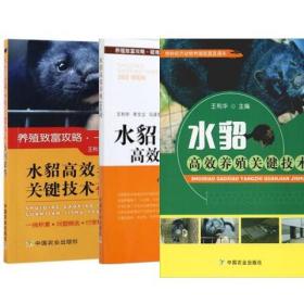 水貂高效养殖引种繁殖关键技术有问必答饲料配制常见病防治初加工