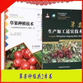 草果栽培技术种子种苗繁育提质增效种植技术林下套种药材采收加工