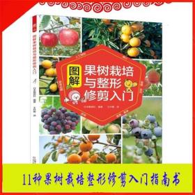 11种果树栽培整形修剪入门指南书人工授粉疏花疏果采收青梅蓝莓桃