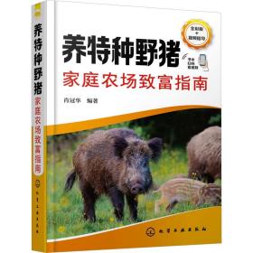 养特种野猪家庭农场致富指南野猪家庭农场方式养特种野猪技术野猪养殖技术书籍