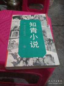 知青小说 王安忆 作者题头话《广阔天地的一角》，徐乃建《杨柏的“污染”》，甘铁生《聚会》，陶正、田增翔《星》，陈村《蓝旗》，梁晓声《这是一片神奇的土地》，张承志《绿夜》，张曼菱《有一个美丽的地方》，史铁生《我的遥远的清平湾》，乔雪竹《郝依拉宝格达山的传说》，李海音《杂毛狗牯》，陆星儿《达紫香悄悄地开了》，吴欢《雪，白色的，红色的》，铁凝《村路带我回家》，阿城《棋王》