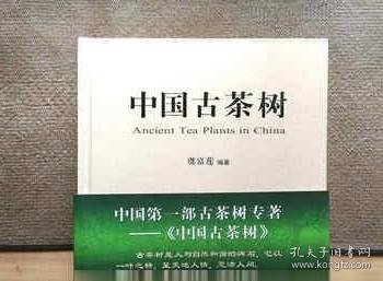 中国古茶树