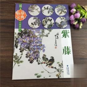 临摹宝典 紫藤 中国画技法/胡益通 江慧恒/写意花卉藤蔓图谱画集