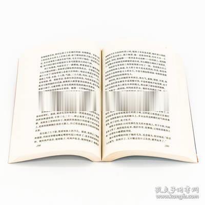 铁皮鼓 君特·格拉斯 胡其鼎 二十世纪外国文学丛书版画本 绝版