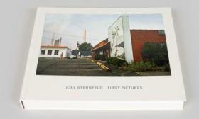 现货Joel Sternfeld: First Pictures 乔斯坦菲尔德 摄影集 早期彩色照片的第一本书