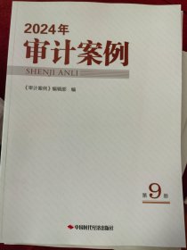 2024年审计案例第9册