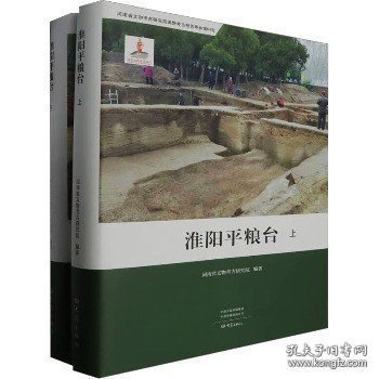 全新正版图书 淮阳平粮台(上下)河南省文物考古研究院大象出版社9787571116651