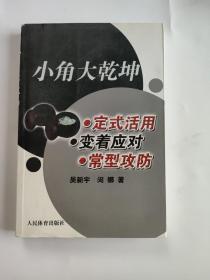 小角大乾坤：定式活用 变着应对 常型攻防