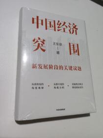 正版 中国经济突围 /王东京 中信出版社 9787521746389