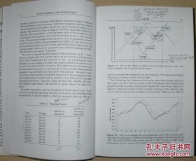 英文原版书 Using Economic Indicators to Improve Investment Analysis 1st Edition by Evelina M. Tainer