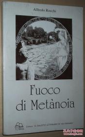 ◆意大利语原版小说 Fuoco di Metanoia di Alfredo Rocchi
