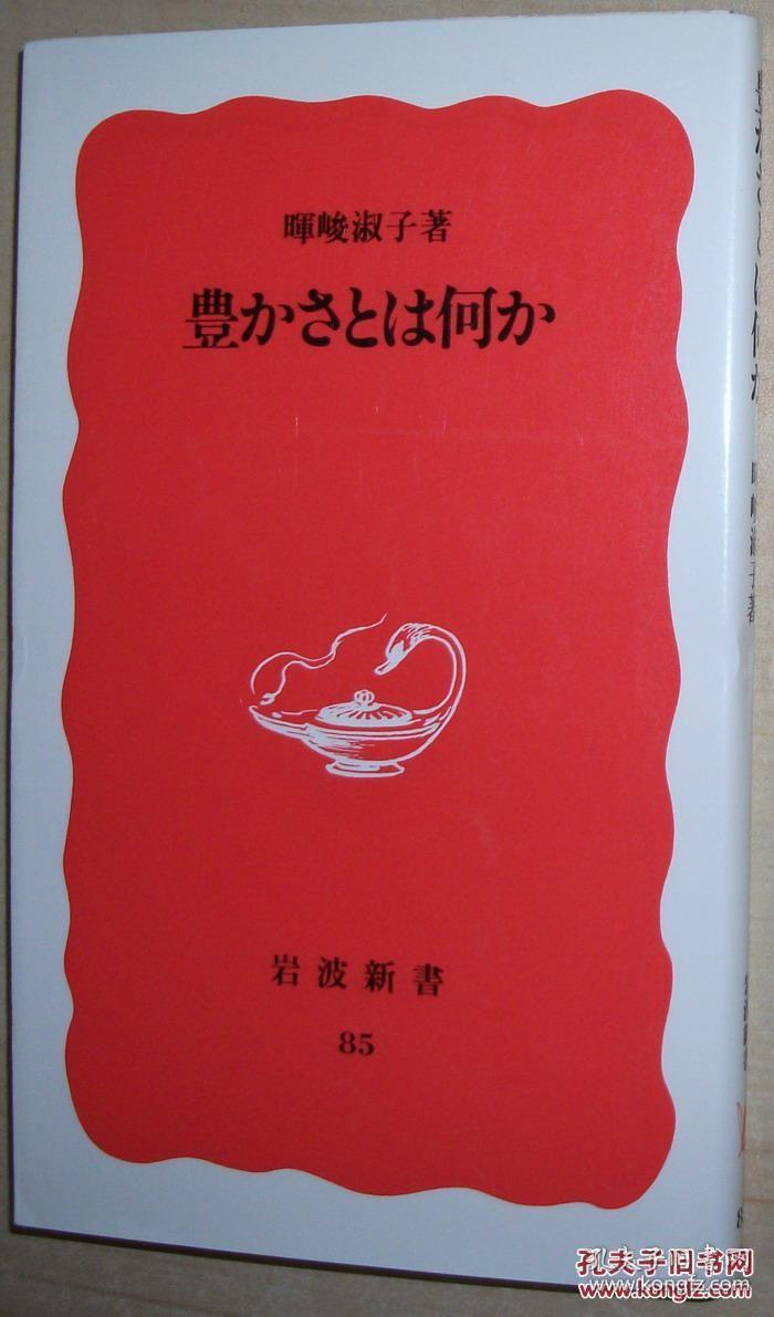 ☆日文原版书 豊かさとは何か (岩波新書) 暉峻淑子 富裕日本社会