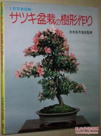 ◇日文原版书 サツキ盆栽の树形作り―2色写真図解 単行本