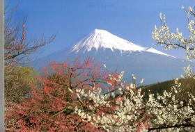 日本富士山.明信片