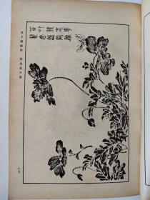 芥子园画传 第三集花卉翎毛