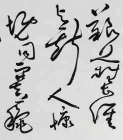 言恭达书法，中国书法家协会副主席，江苏省书法家协会主席，孙中山诗，挽刘道一