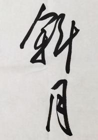 叶培贵书法作品真迹，文学（书法）博士。现任首都师范大学教授、博士生导师、书法院学术委员会主席，九三学社中央委员兼中央书画院常务副院长，海淀区政协副主席。中国书协副主席、北京市文联副主席、北京书协主席。曾任中国书法文化研究院院长。《徐凝诗一首》有保真鉴定证书。