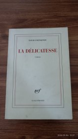 法文原版 David Foenkinos： La délicatesse 大卫•冯金诺斯 微妙 精巧细致 32开本 私藏品好