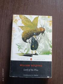 英文原版 英语 William Golding ： Lord of the Flies 戈尔丁 蝇王 私藏大开本