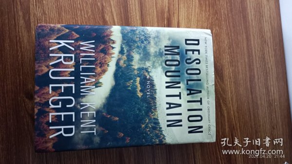 英文原版 Desolation Mountain 爱伦坡最佳小说奖《纯真挽歌》作者威廉·克鲁格最新力作  精装小16开本 私藏品佳