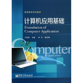 计算机应用基础/高等教育系列教材