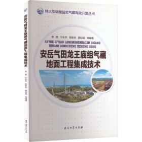 安岳气田龙王庙组气藏地面工程集成技术