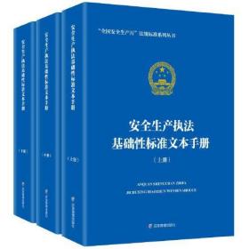 安全生产执法基础性标准文本手册