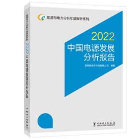 能源与电力分析年度报告系列 2022