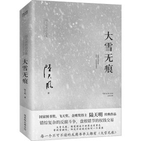 大雪无痕