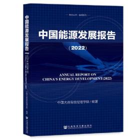 中国能源发展报告（2022）