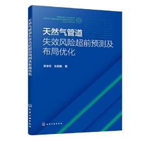 天然气管道失效风险超前预测及布局优化