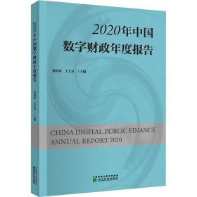 2020年中国数字财政年度报告