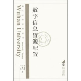 武汉大学学术丛书：数字信息资源配置