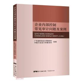 企业内部控制常见审计问题及案例