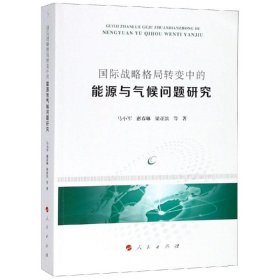 国际战略格局转变中的能源与气候问题研究 