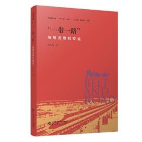 “一带一路”：统筹发展和安全