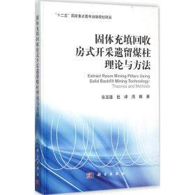 固体充填回收房式开采遗留煤柱理论与方法