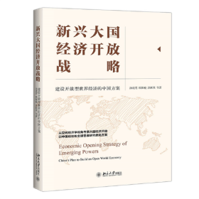 新兴大国经济开放战略：建设开放型世界经济的中国方案