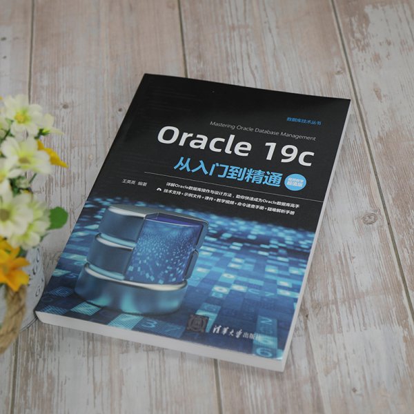 Oracle19c从入门到精通（视频教学超值版）（数据库技术丛书）