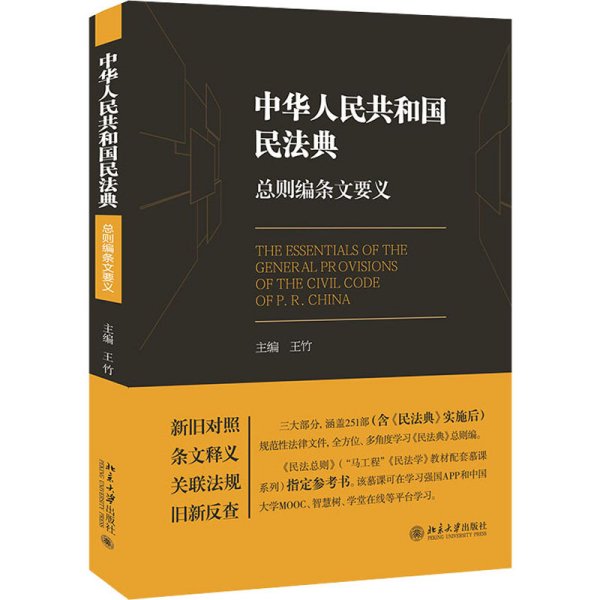 《中华人民共和国民法典》总则编条文要义