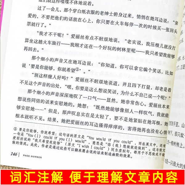 爱丽丝漫游奇境 中小学生课外阅读书籍世界经典文学名著青少年儿童文学读物故事书名家名译原汁原味读原著