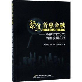 聚焦普惠金融——小额贷款公司转型发展之路