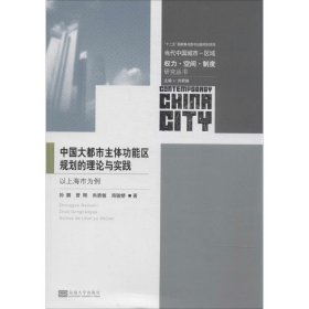 当代中国城市区域权力空间制度研究丛书：中国大都市主体功能区规划的理论与实践