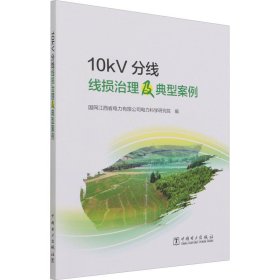 10kV分线线损治理及典型案例