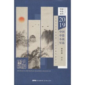 2019中国中篇小说年选