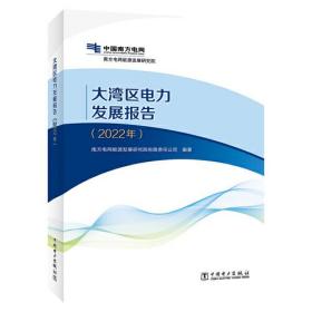 大湾区电力发展报告:2022年