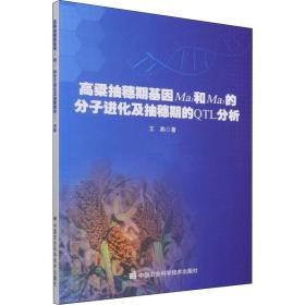 高粱抽穗期基因Ma₁和Ma₃的分子进化及抽穗期的QTL分析