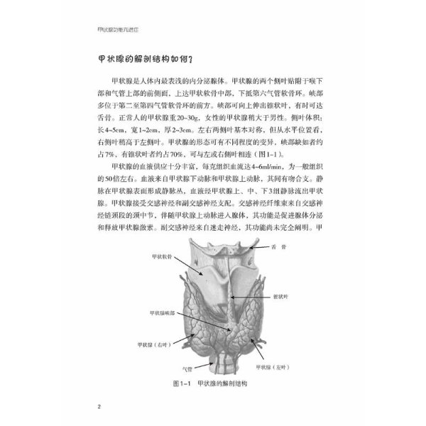 甲状腺功能亢进症（第三版）（名医与您谈疾病丛书）