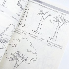 速写基础教程实战练习 新手自学入门